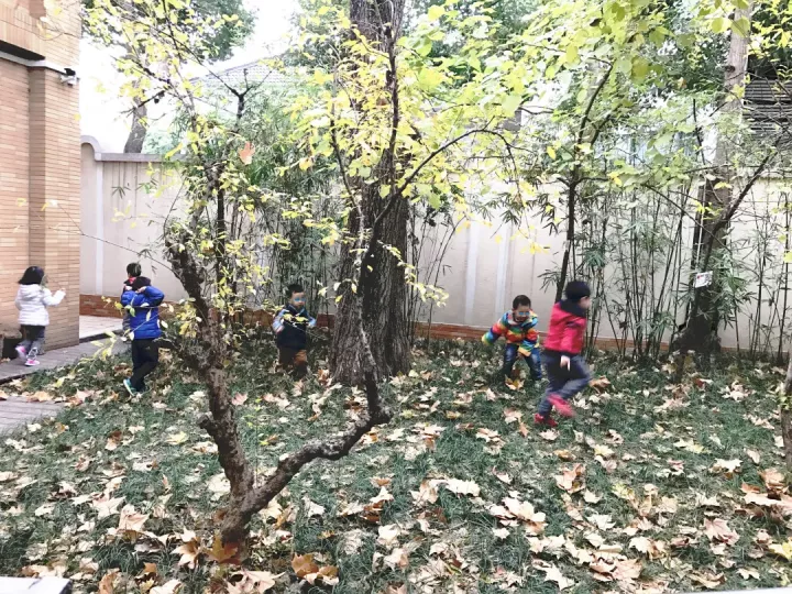 幼儿园特色教育