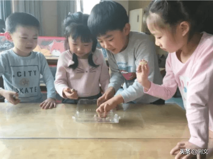 走进幼儿园丨有趣的乌龟蛋