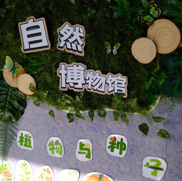 幼儿园自然博物馆环创：自然教育的新实践 · 配图