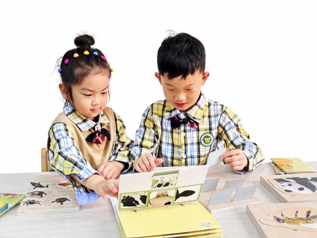 干货 | 你想要的幼儿园期末总结（小、中、大班 · 配图